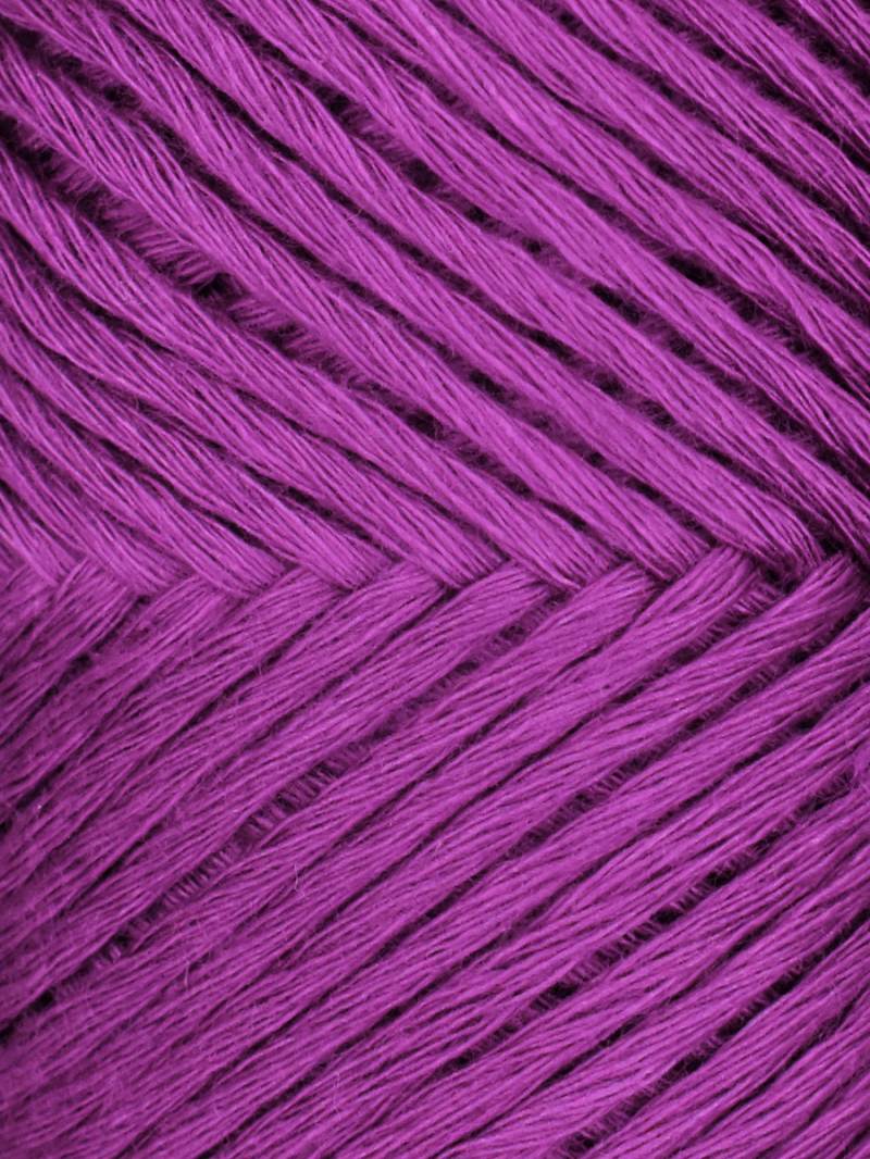 Myrtle by Queensland