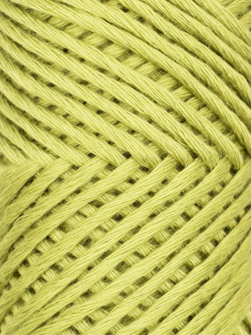 Myrtle by Queensland