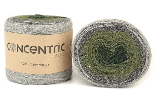 Concentric by Hikoo
