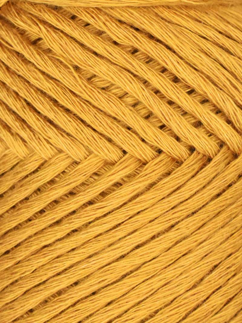 Myrtle by Queensland