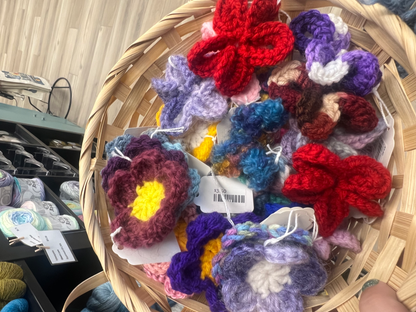 Colored Daisies  Regular