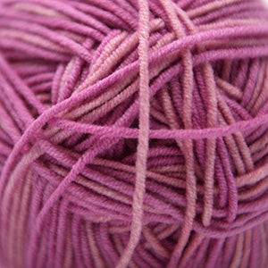 Cascade Sarasota Print