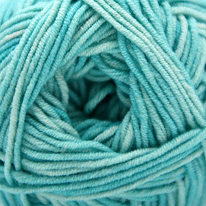 Cascade Sarasota Print