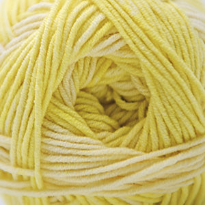 Cascade Sarasota Print